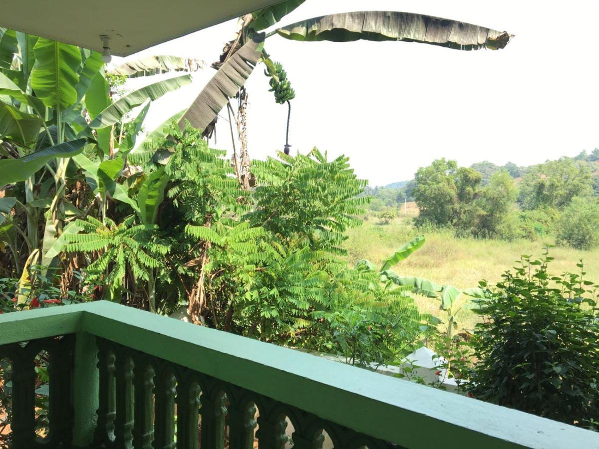 Jesant Valley Holiday Homes 坎多林 外观 照片
